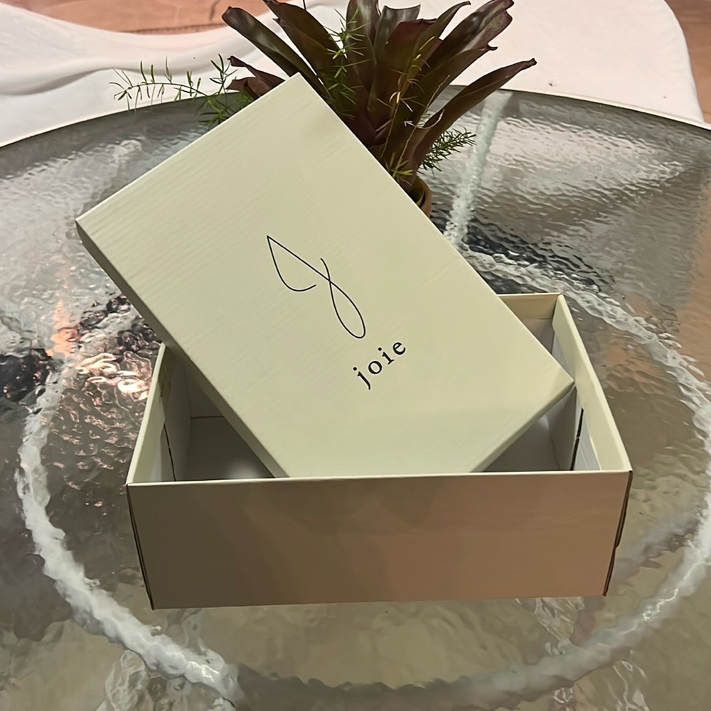 Joie shoe empty box 🌹